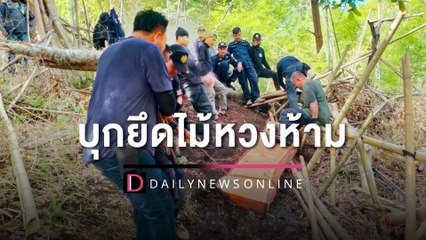 ป่าไม้ไทรโยคบุกยึดไม้หวงห้าม ประดู่ยักษ์ถูกตัดแปรรูปมูลค่านับแสน | HOTSHOT เดลินิวส์ 13/05/66