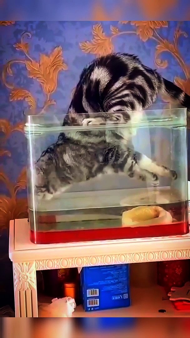 ⁣It doesn’t matter how you need to dodge, the main thing is to drink and the aquarium!