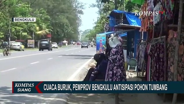 Hindari Insiden Pohon Tumbang, Pemprov Bengkulu Minta Pangkas Pohon yang Rawan Roboh