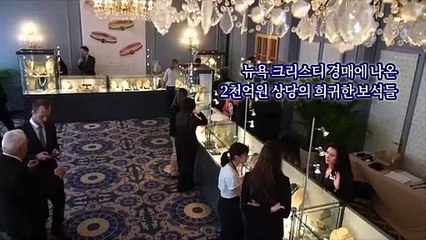 [지구촌톡톡] 나치 부역자 보석 2천억원어치 경매에…"약탈 재산" 비판도