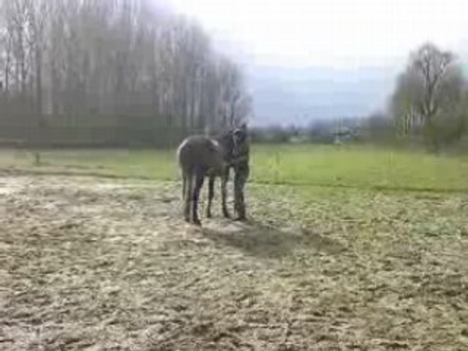 Vidéo-0002