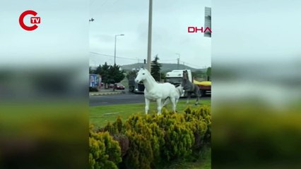 Nevşehir'de maket atları gören at, şaha kalktı