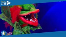 Mask Singer 5 - La plante carnivore : Une belle australienne sous le costume ?