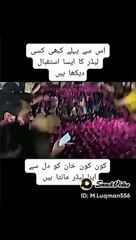 Imran khan Status video and Imran khan lover