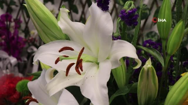 Anneler Günü seçimlere denk gelince çiçekçiler de slogan üretti: Oyunu ver, siparişini ver