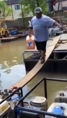 Wood does not tolerate oh