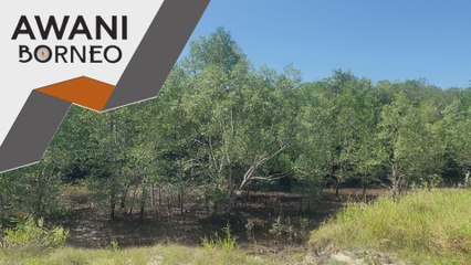 Pengumpulan data kawasan hutan bakau Sarawak guna dron VTOL