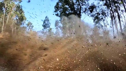 Elfyn Evans Rally de Portugal