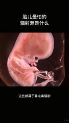 baby in womb || Pregnancy