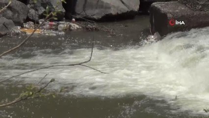 Kars'ta balıkların 'ölüm' göçü başladı