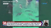 Fish encounter sa isang lagoon at pink and white sand beach sa Matnog, dinarayo ng mga turista | 24 Oras Weekend