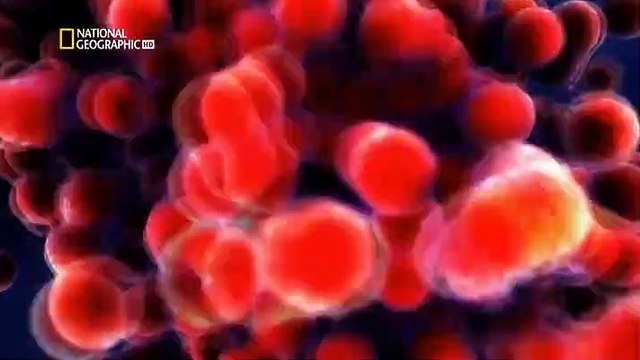 Documental Evacuar La Tierra-1-Planeta Zombi