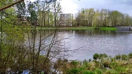 Saules tako tvenkiniai. 2023 balandis