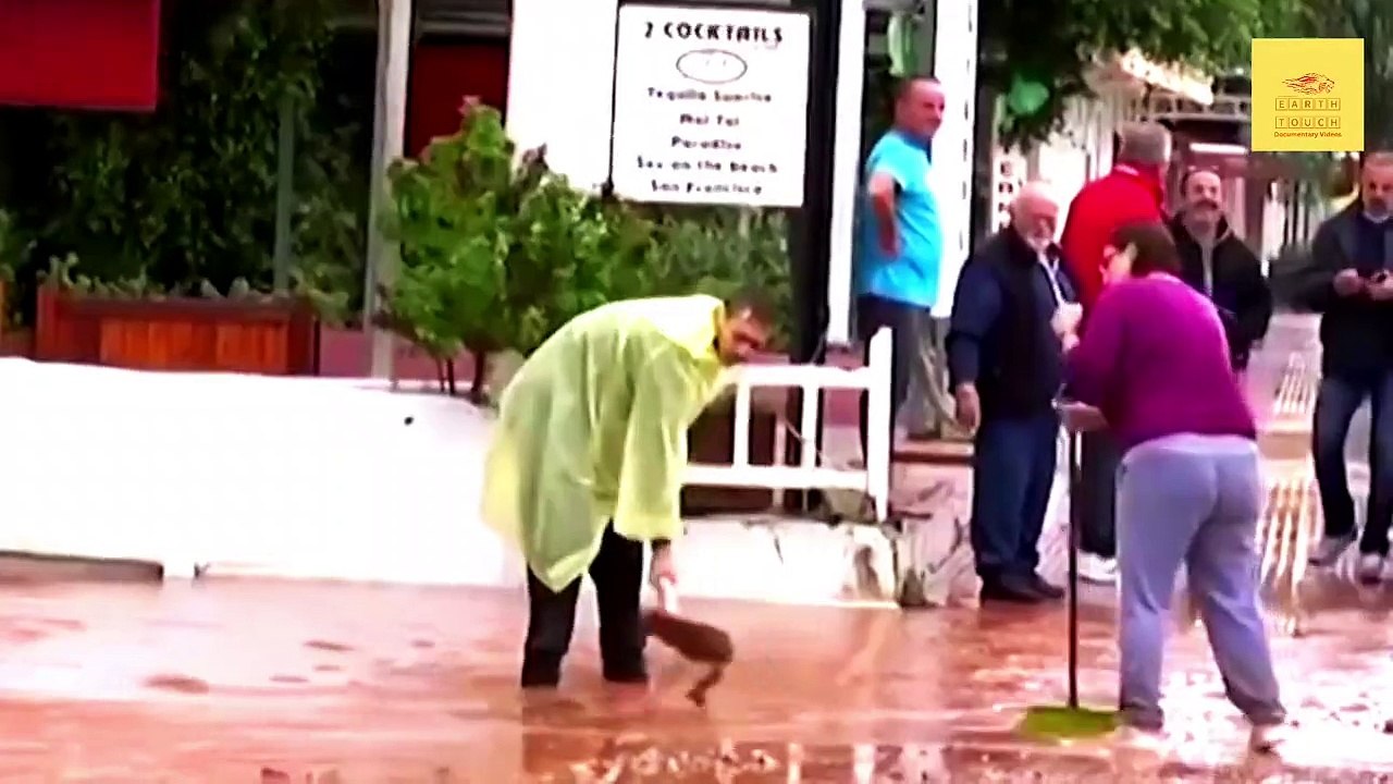 Surviving the Floods_ The Natural Disaster __ Earth Touch __