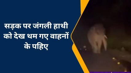 बहराइच: यहां पर अचानक से सड़क पर आ गया जंगली हाथी, वीडियो हुआ वायरल