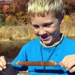 amazing facts which you haven't listened before.