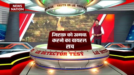 LIE DETECTOR TEST : जिराफ को अगवा करने का वायरल सच