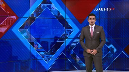Tertimpa Pohon Tumbang, Pengemudi Asal Jember Tewas di Tempat saat Menyetir
