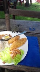 Sharing A Meal With A Bird