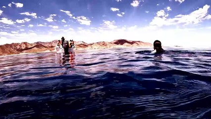 Sea of Swimming Mobula Rays