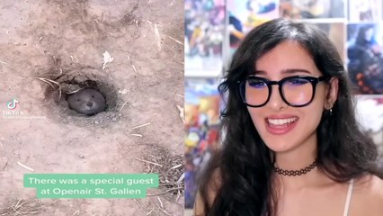 If It Were Not Filmed No One Would Believe It