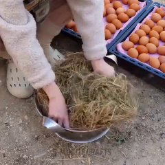 Unusual traditional recipes for your cooking inspiration!