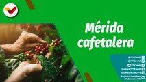 Cultivando Patria | Mérida presenta 65 lotes para participar en el EICEV 2023