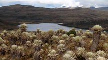 Las conclusiones que dejó el consejo de seguridad por la grave situación en Sumapaz