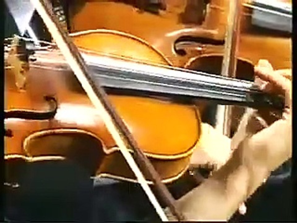 Flight of the Bumblebee