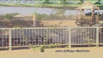 سلامة العبدالله | عبير الشوق | فيديو كليب 1986