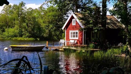 Transcendence: A Journey Through Mindfulness