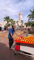 Découvrez la Charmante Balade à Souk El Had à Agadir 🕌