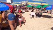 RİO DE JANEİRO Leblon Beach Best Travel Walk Tour BRAZİL