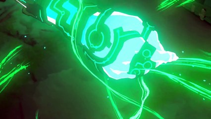 Debout Link [ZELDA: TEARS OF THE KINGDOM]