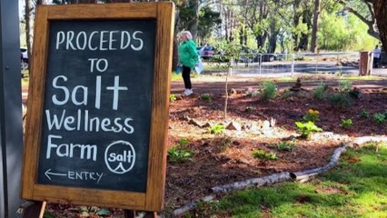 Church charity using chestnut farm to improve people's mental health