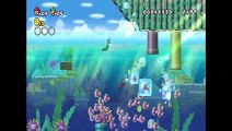 DU Super Mario Bros: Find that Princess online multiplayer - wii