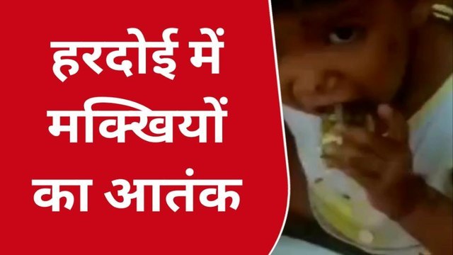 हरदोई: मक्खियों के आतंक से ग्रामीण परेशान ,डीएम से गुहार लगाने के बावजूद भी नहीं मिली निजात