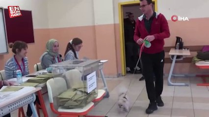 Oy kullanmaya evcil hayvanıyla geldi