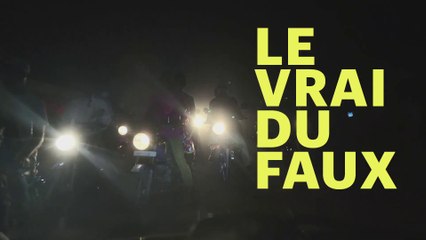 LE VRAI DU FAUX (2023) Bande Annonce VF - HD