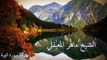 تلاوات خاشعة مبكية ماهر المعيقلي