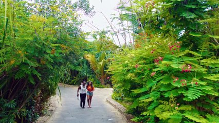 Harmonize ft. Bruce Melodie - Zanzibar (Official Music Video) 🎶