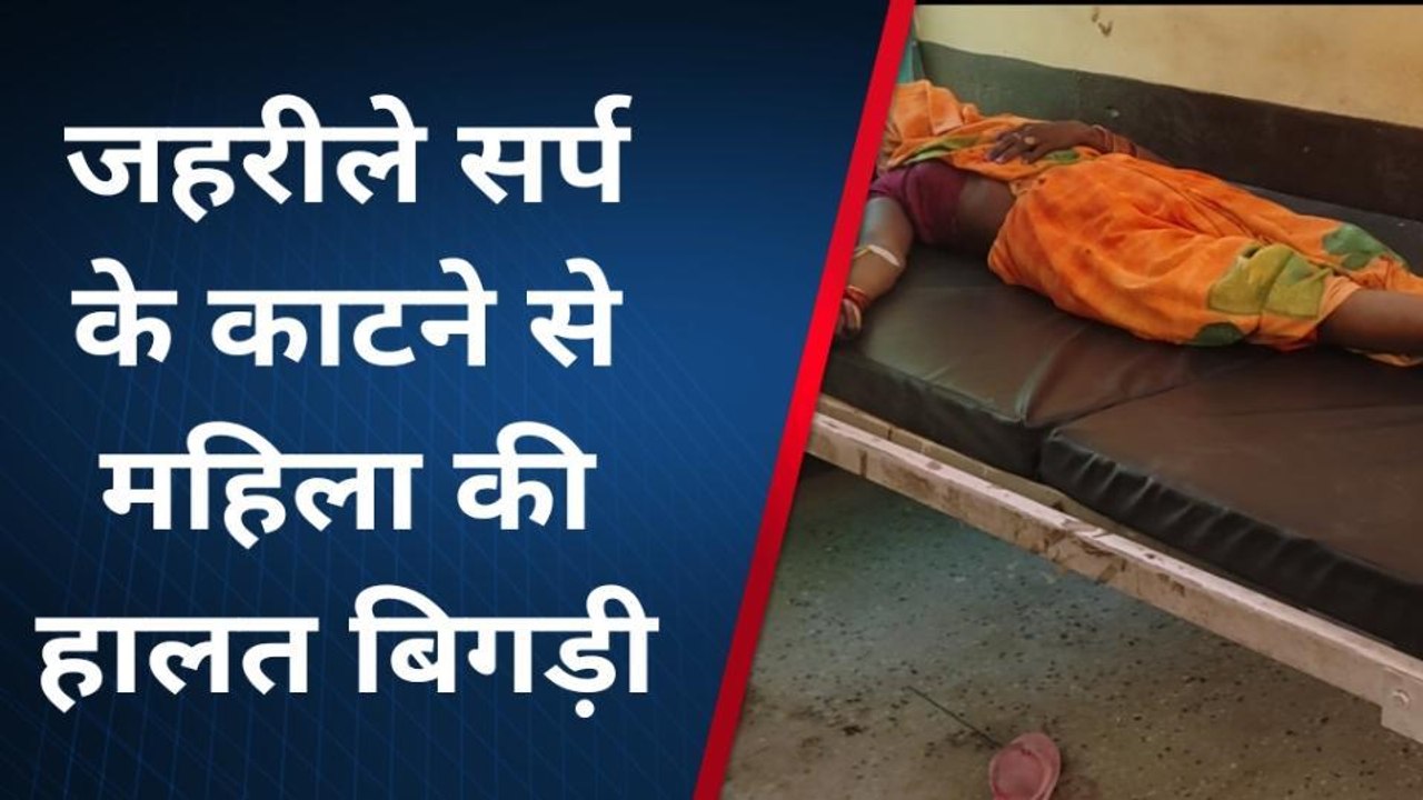 बांदा नरैनी: जहरीले सर्प के काटने से महिला की हालत बिगड़ी, अस्पताल में भर्ती