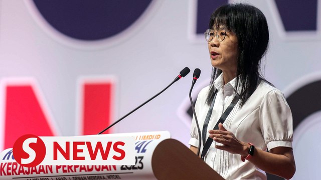 Do more to increase women's participation in various sectors, says Wanita MCA chief