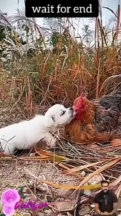 respect #respect #respectshorts #respectvideo #respectreaction #respectmoments #shorts #ytshorts 014 (2)