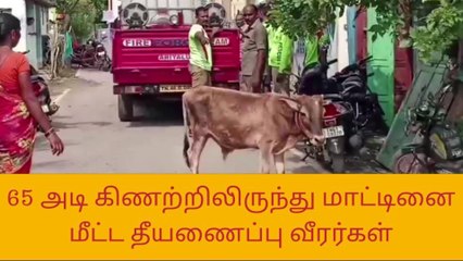 அரியலூர்:கிணற்றில் விழுந்த மாட்டினை உயிருடன் மீட்ட தீயணைப்பு வீரர்கள்!