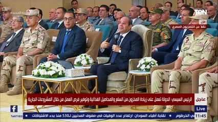 السيسي: حجم المحصول الذي ستنتجه الأراضي سيكون مليون طن قمح بتكلفة اقتصادية في المياه