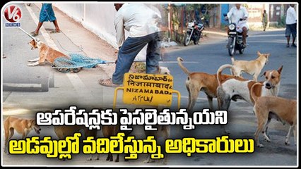 Stray Dog Menace Creates Panic Among Public In Nizamabad | V6 News