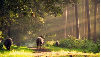 Hazrat Muhammad (SAW) Ka Farman Umat Ke Iktalaf Main Apni Ankhe Khuli Rakhu