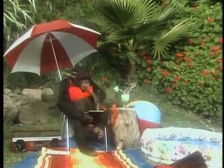 Kidsongs A Day With The Animals