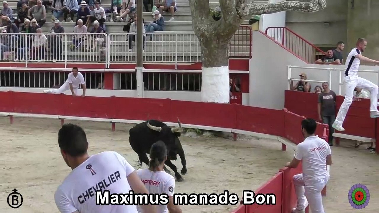 2023 05 07 Maximus